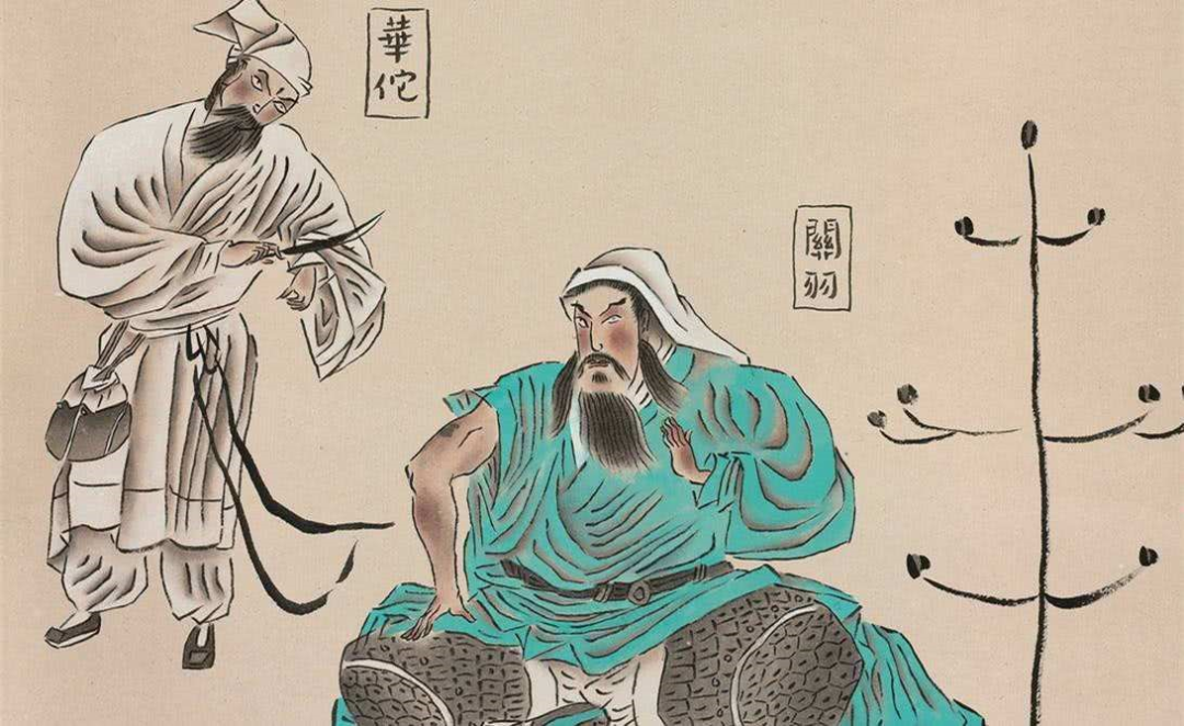 《字解百家姓》第28集:华姓